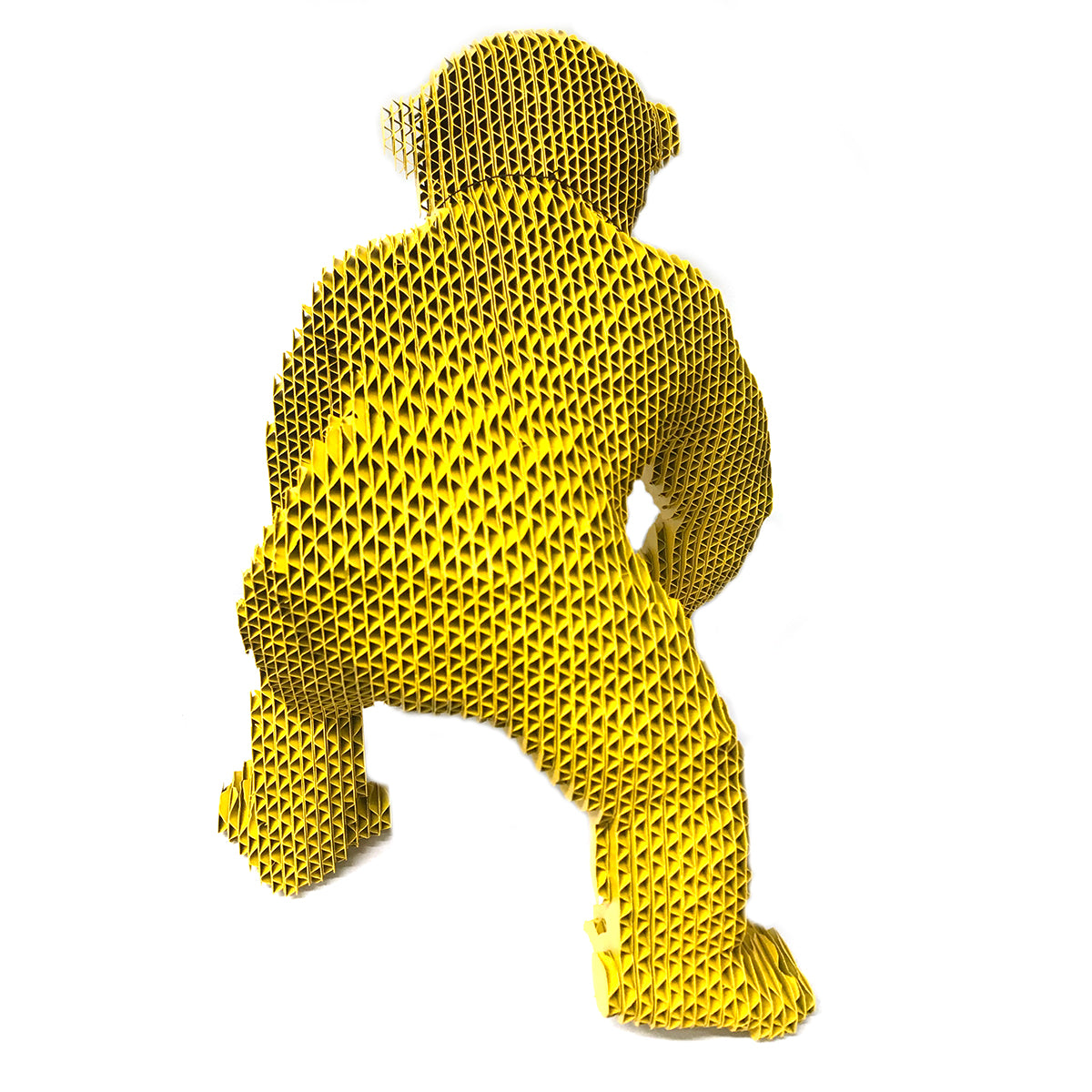 Chimpancé Evan
