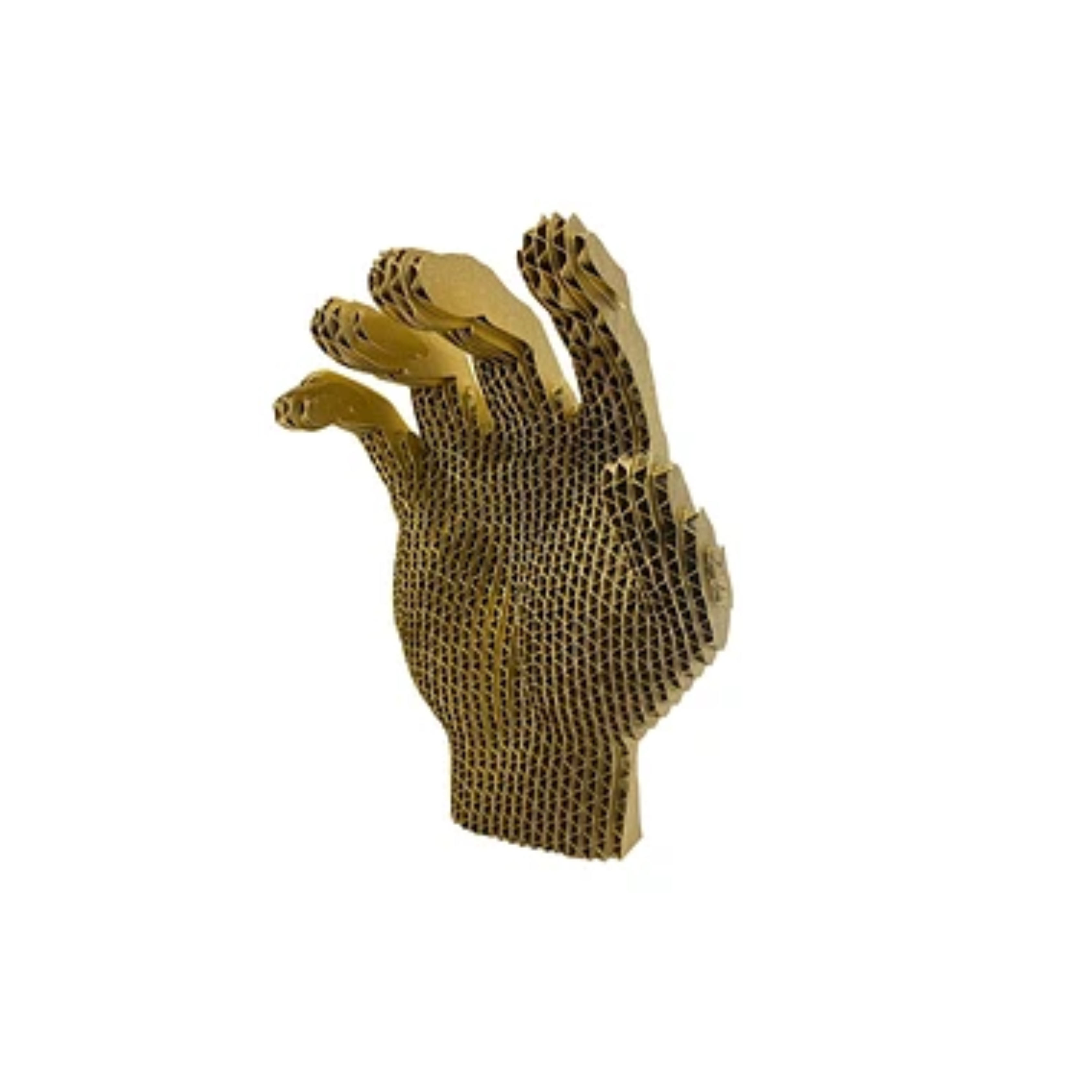 CURIOUS HAND - MANO