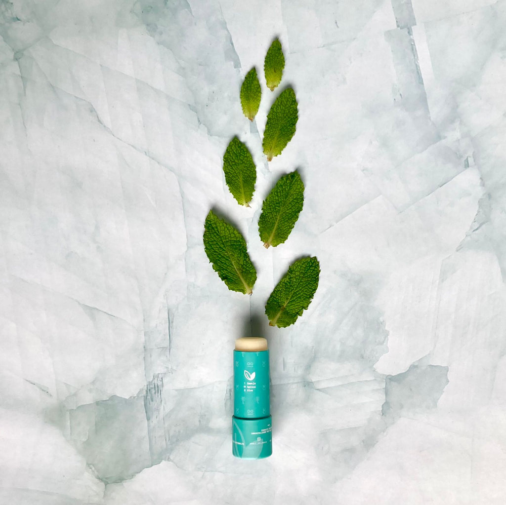 BÁLSAMO LABIAL MENTA