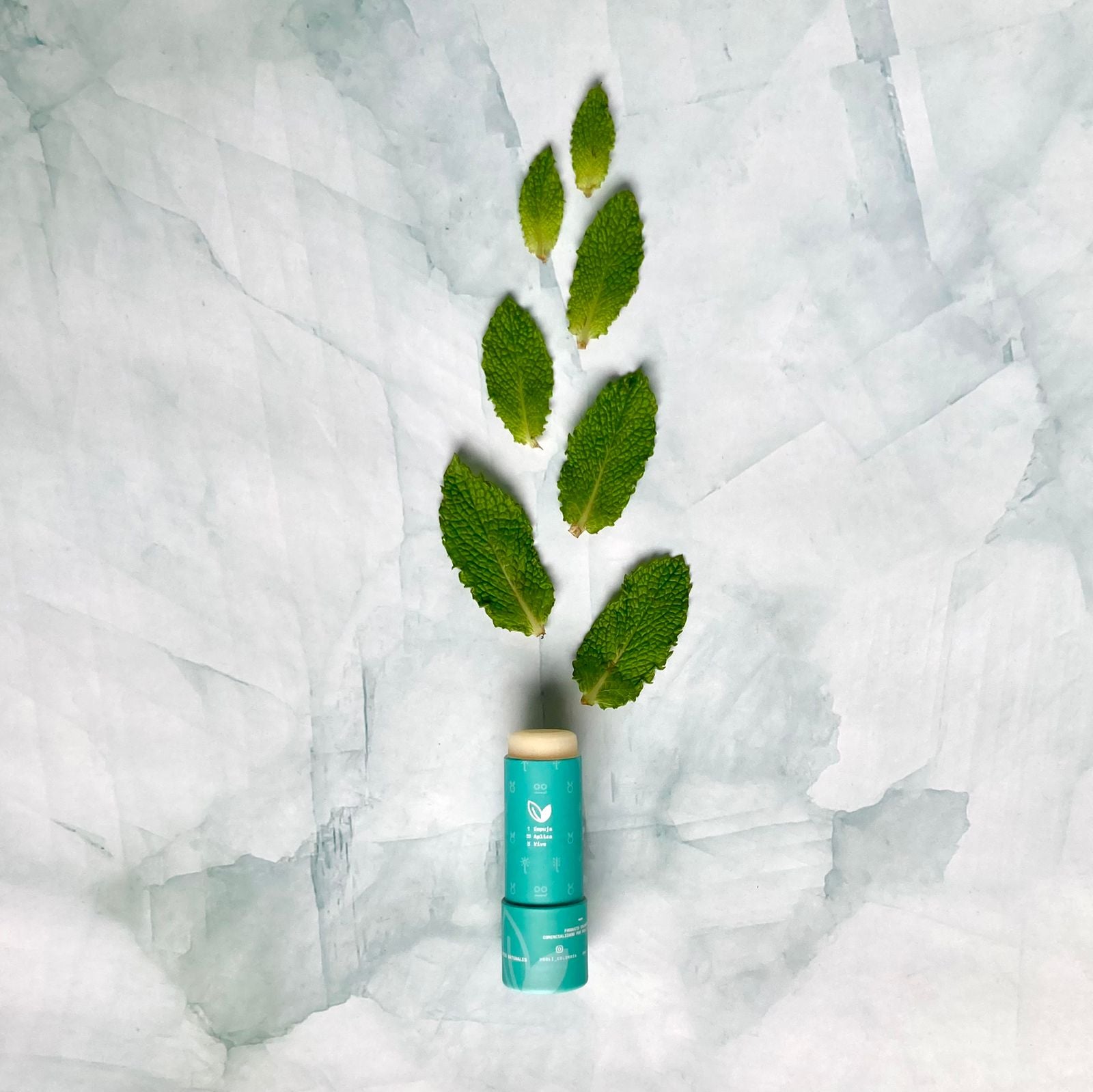 BÁLSAMO LABIAL MENTA