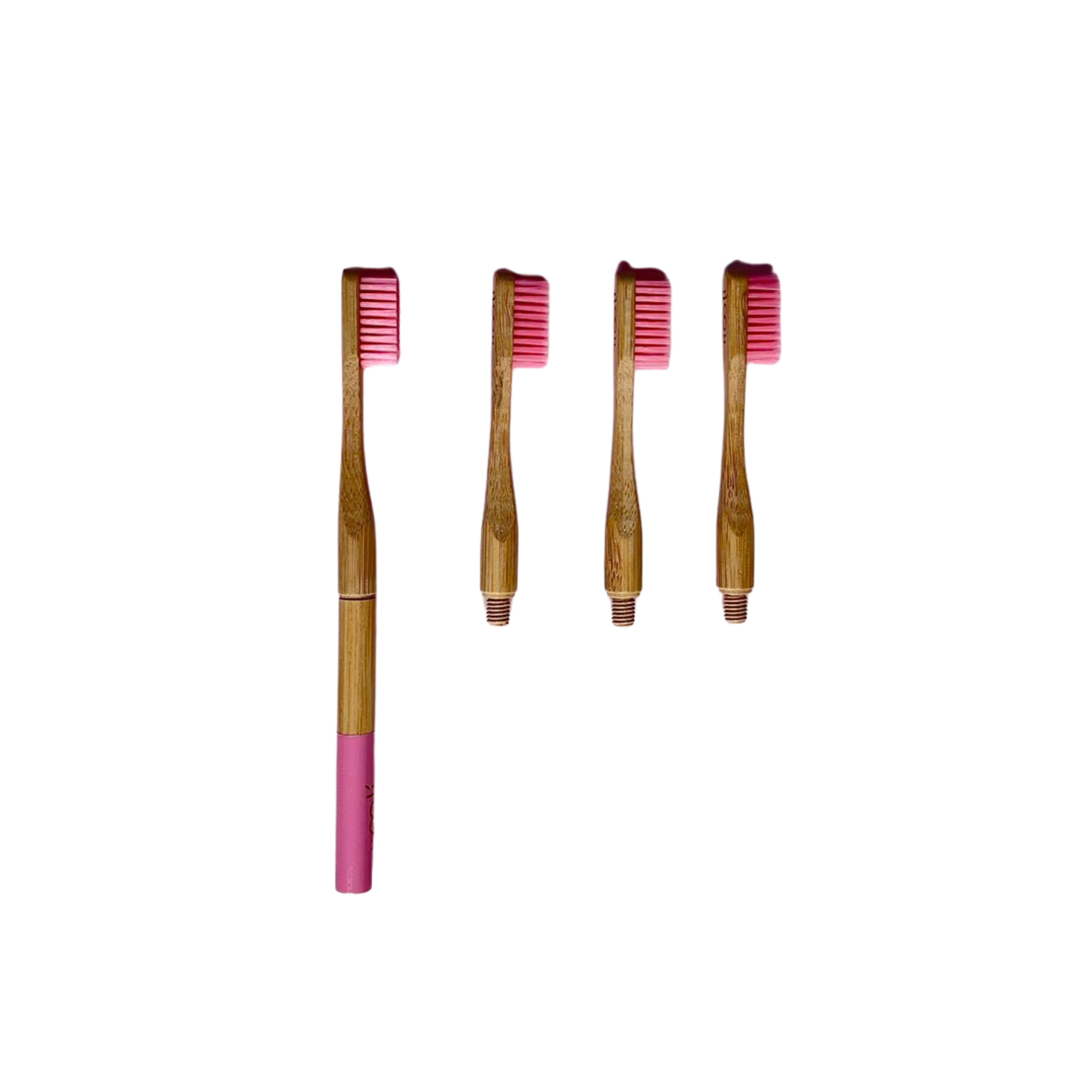 Kit Anual Cepillos Intercambiables de Bambú