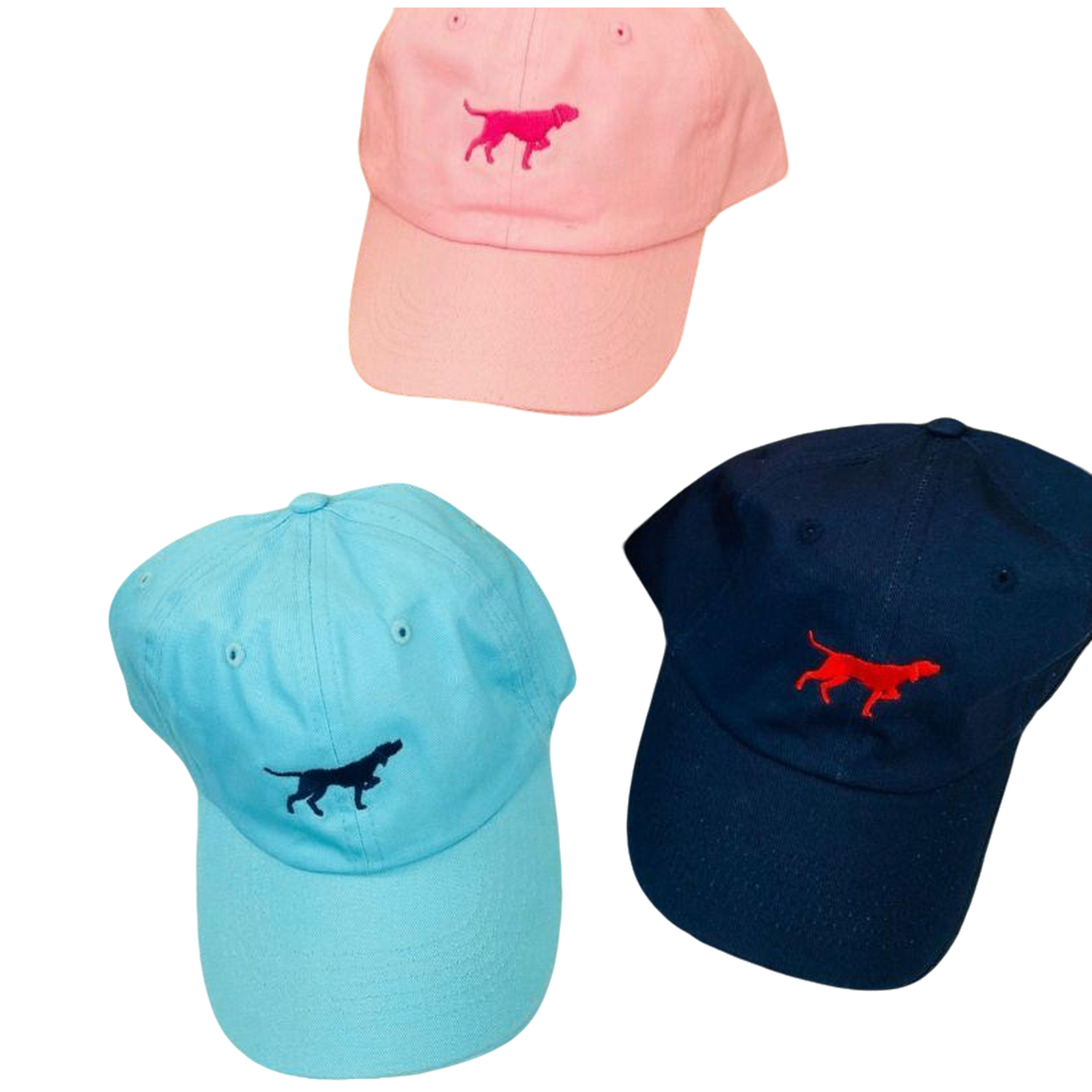 GORRA POINTER