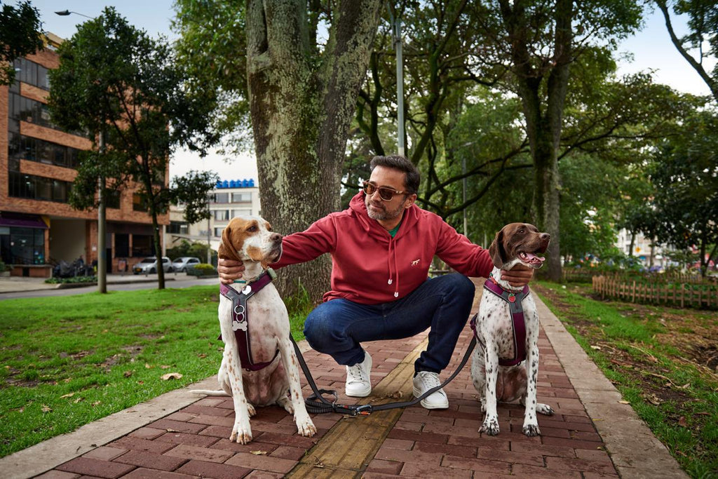 Open Hoodie – Algodon Termico