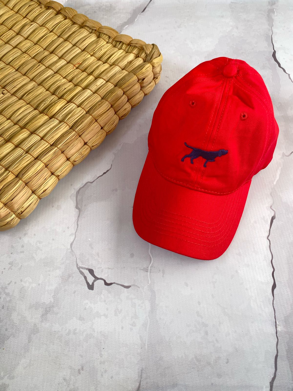 GORRAS POINTER